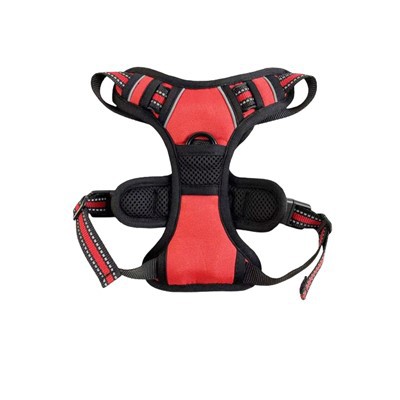 حزام كلب بمشبك مزدوج